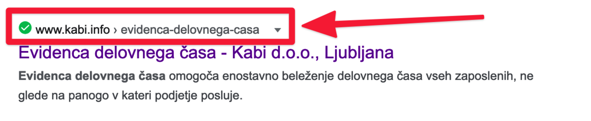 Primer prečiščenega URL naslova