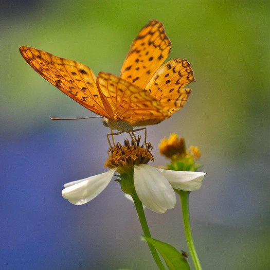 Naj vaši uporabniki uspešno pristanejo na vaši strani
