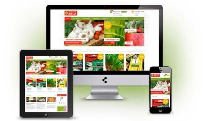 100% responsive design