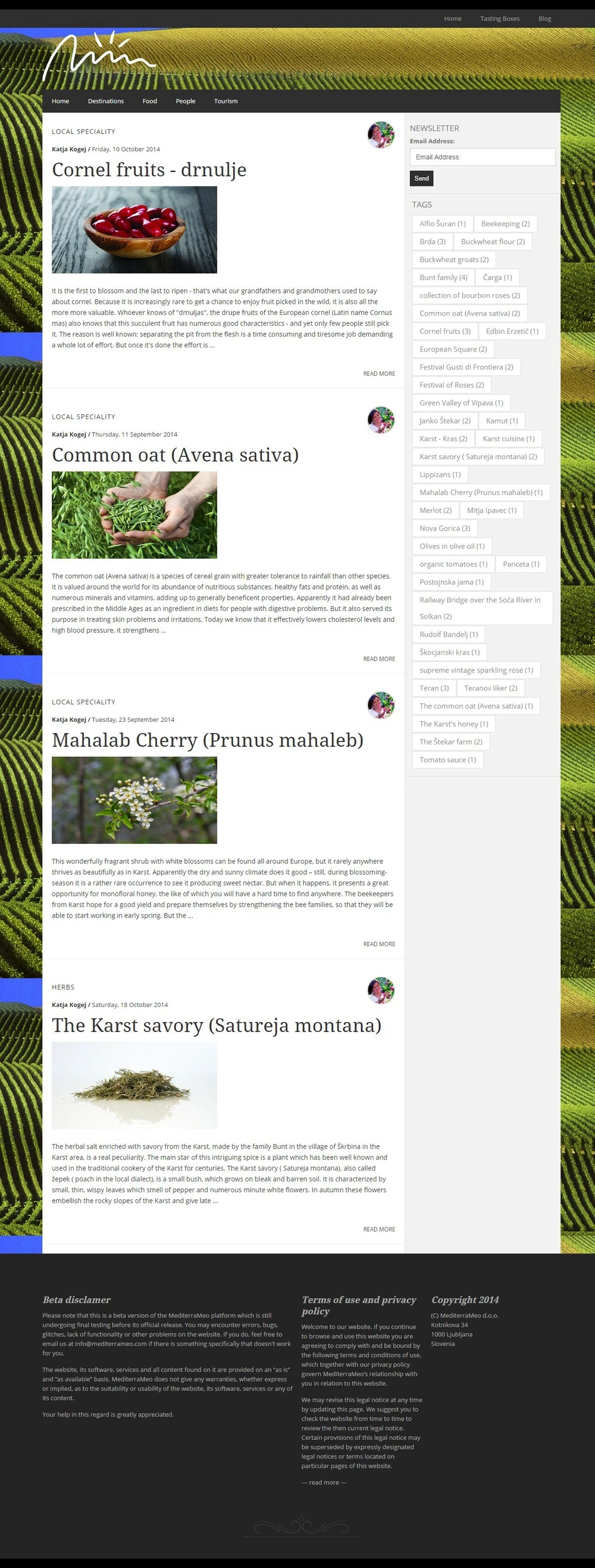 Spletne_strani/Mediteraneo