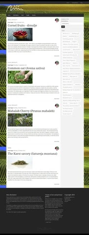 Spletne_strani/Mediteraneo