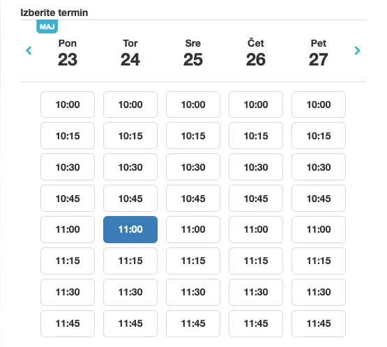 Primer izbire termina na spletni strani